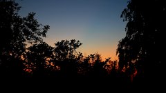 Dusk_with_Trees - free HD stock video