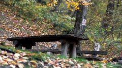 Bench_in_the_woods - free HD stock video