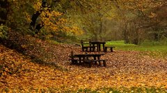 Benches_in_the_woods - free HD stock video
