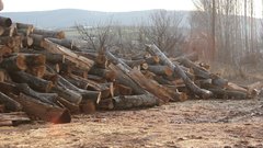 Cutted_wood_3 - free HD stock video