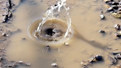 Puddle_of_water_muddy_and_rainy_slow_motion - free HD stock video