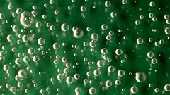 Bubbles_green_background - free HD stock video