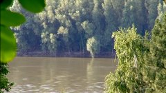 Danube_river_10 - free HD stock video