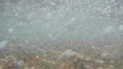Underwater_footage_4 - free HD stock video