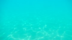Underwater_footage_6 - free HD stock video