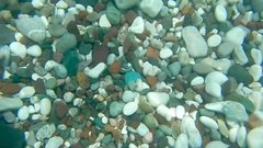 Underwater_footage_7 - free HD stock video