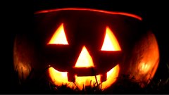 Halloween_pumpkin_11 - free HD stock video