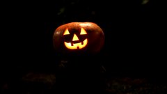 Halloween_pumpkin_7 - free HD stock video